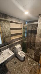 Suites @ Cairnhill (D9), Apartment #486703021
